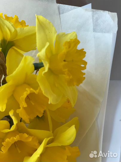 Букет нарциссов