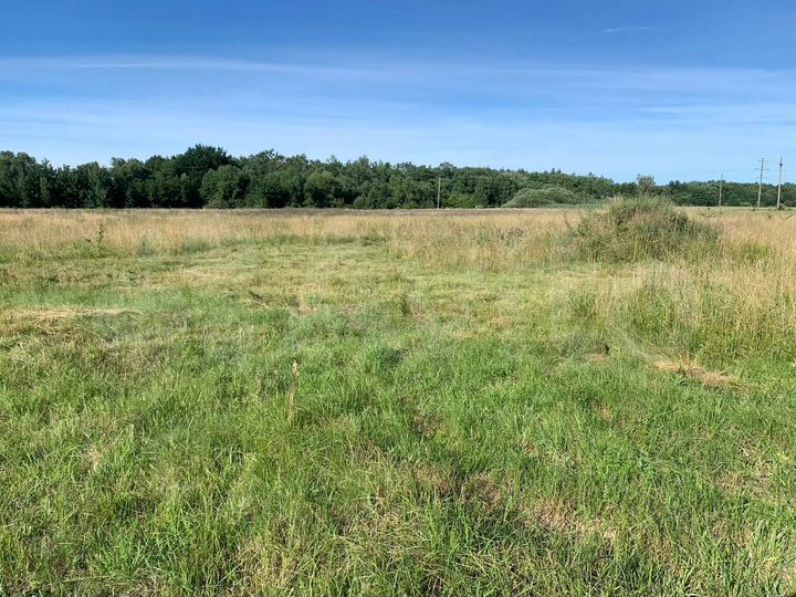 Участок 20 га (СНТ, ДНП)