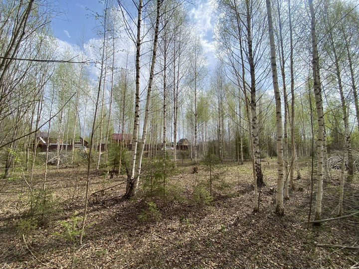 Участок 20 сот. (СНТ, ДНП)