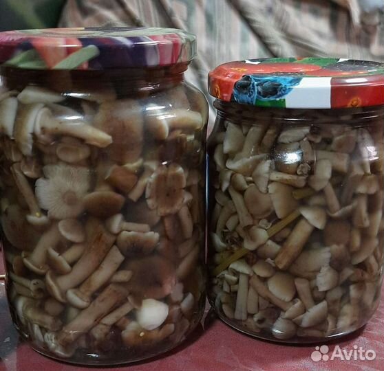 Грибы маринованные
