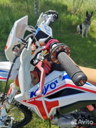 Kayo K6-R 2020