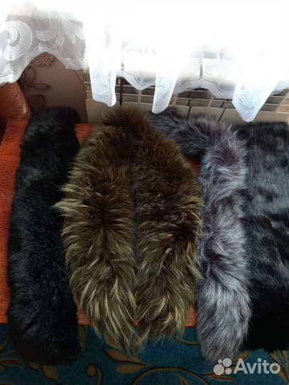 Шкурка животного