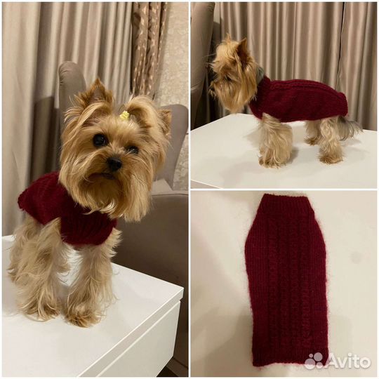 Одежда для собак