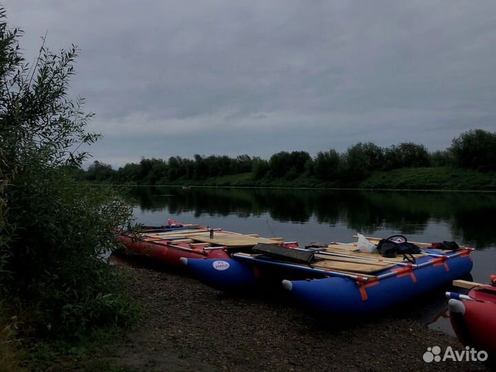 Аренда катамарана