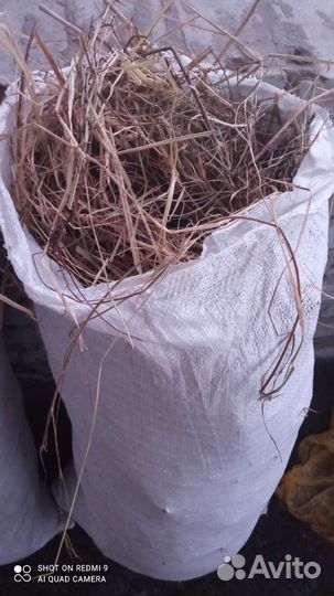 Сено в рулонах, в мешках, сенный размол