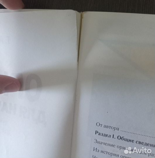 Оригами для начинающих учебное пособие