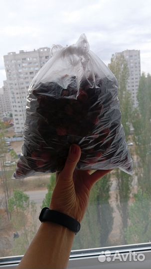 Шиповник сушеный