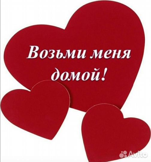 Найде очень нужен дом