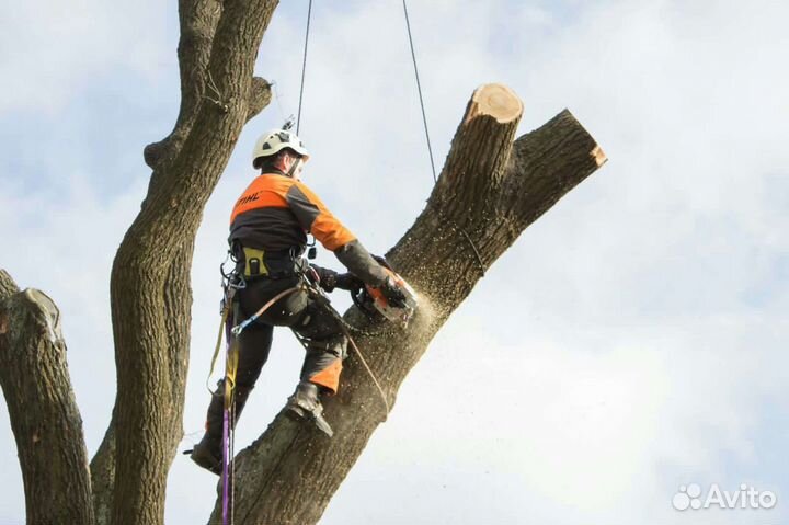 Спил деревьев/Расчистка/Дробление веток