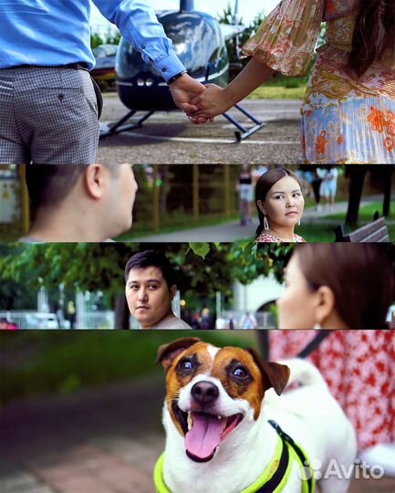 Начинающий Видеограф / Монтажёр