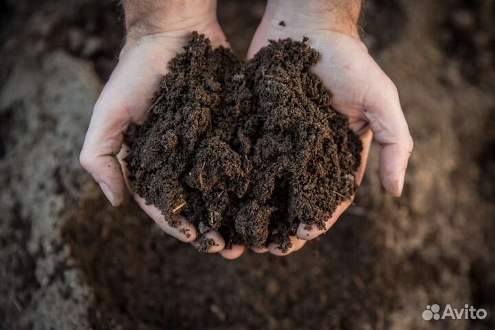 Перегной коровий в мешках