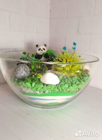 Флорариум, суккуленты, ваза, сувениры