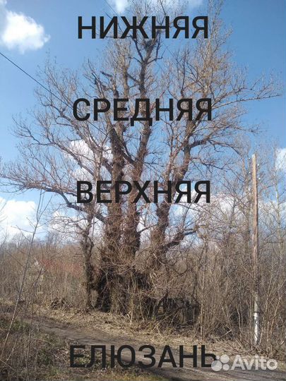 Удаление,обрезка деревьев.Расчистка участков