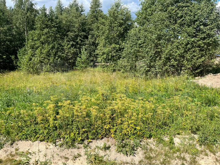 Участок 13,2 сот. (СНТ, ДНП)