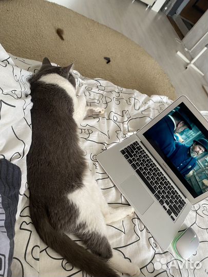 Apple MacBook Air 13