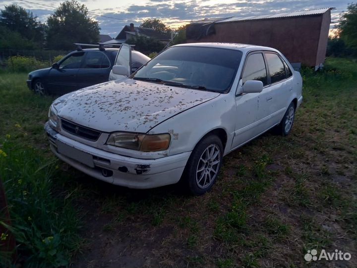 Nissan Sunny 1.3 AT, 1999, 498 000 км