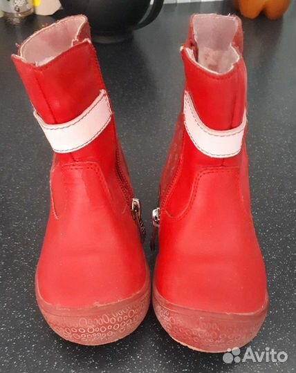 Сапоги демисезон