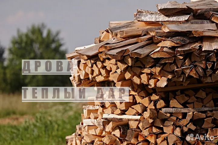 Дрова