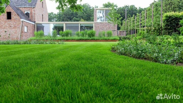 Рулонный газон