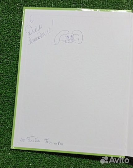 Чудесное путешествие Нильса с дикими гусями