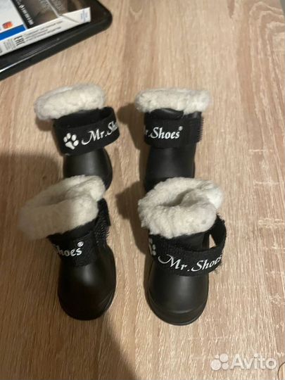 Бошмачки для маленькой собачки