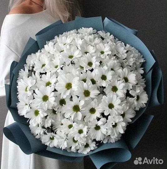 Хризантема. Букеты Цветы доставка