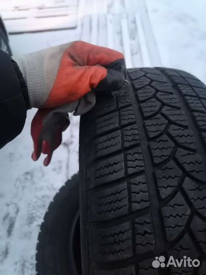 Tigar Winter 195/65 R15