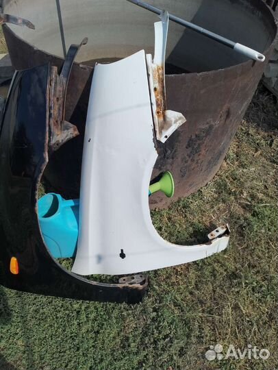 Крылья передние Калина