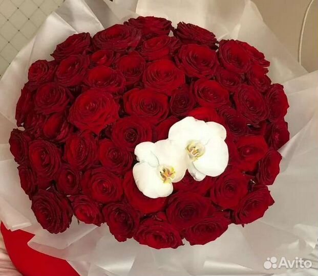 Букет цветов из 51 розы, доставка