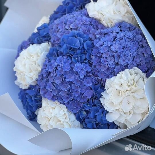 Гортензия/ букеты из гортензий