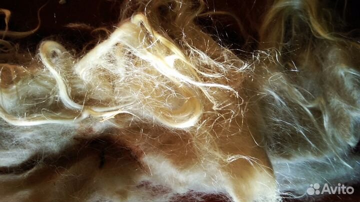 Козий пух, пух ангорской козы, длинный