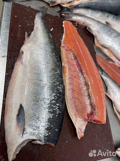 Рыба Кета Переработка