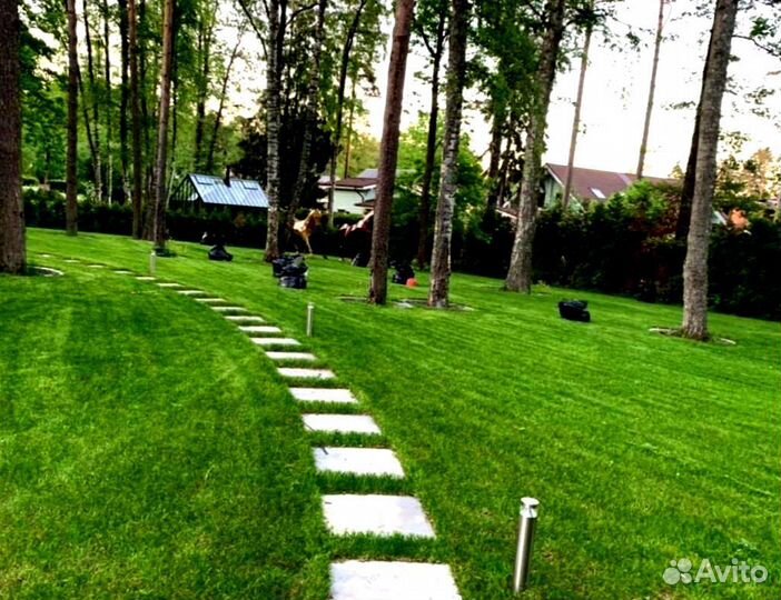 Рулонный газон 