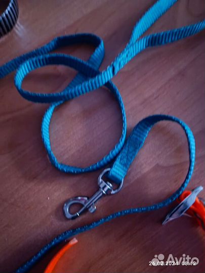 Поводок и ошейник