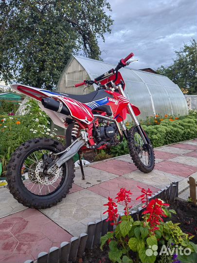 BSE mx125