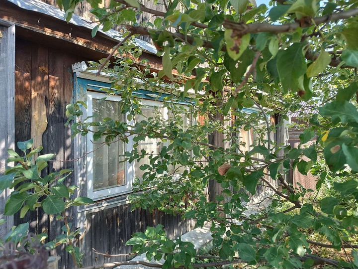 Дом 54 м² на участке 20 сот.