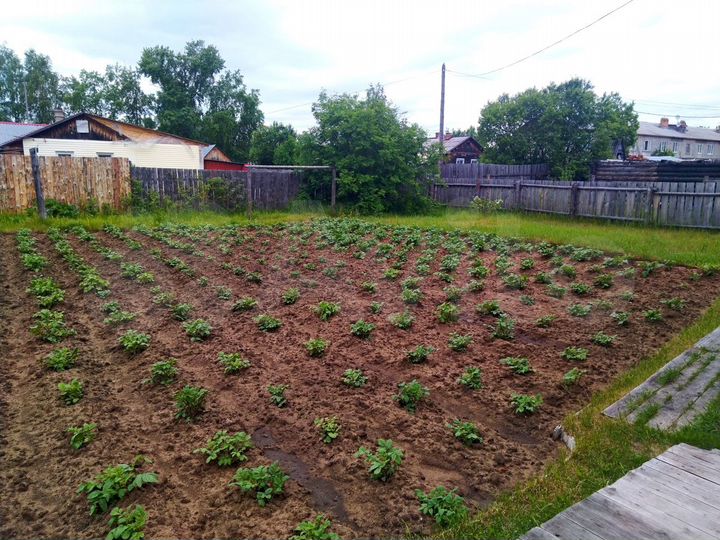 Дом 54 м² на участке 8,3 сот.