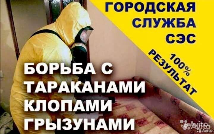 Уничтожение тараканов клопов мышей блох клещей