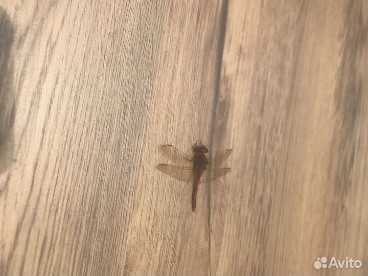 Покраска мебели, изготовление, реставрация