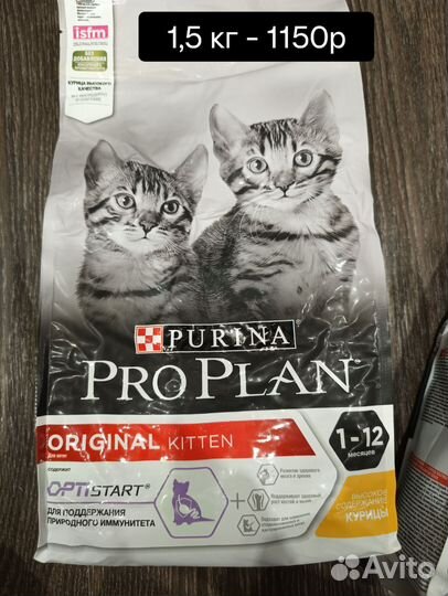 Корм для кошек