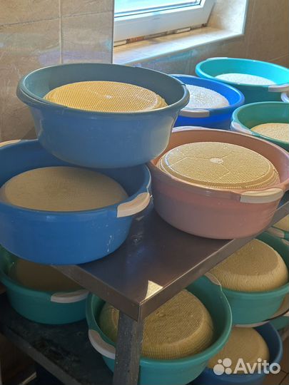 Домашние молочные продукты