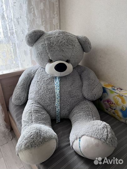 Большие плюшевые медведи
