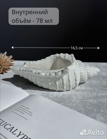 Гипсовая ракушка