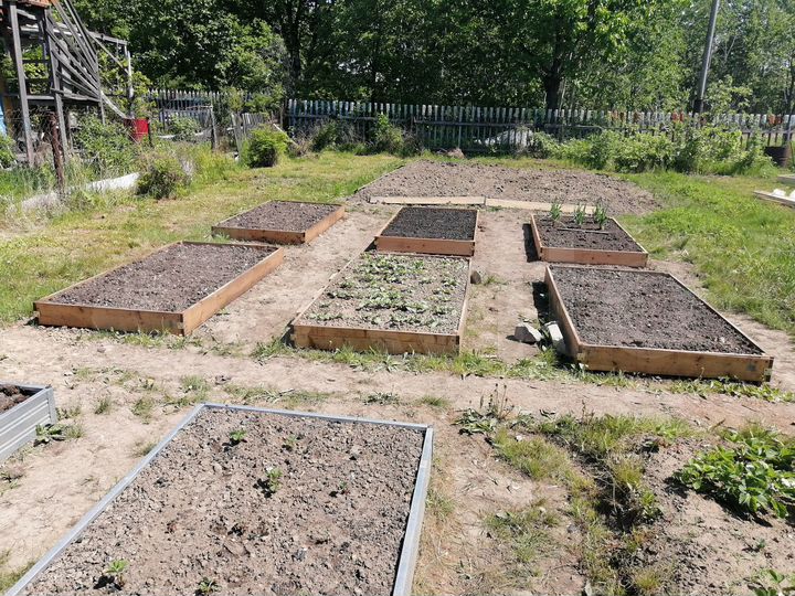 Участок 11 сот. (СНТ, ДНП)