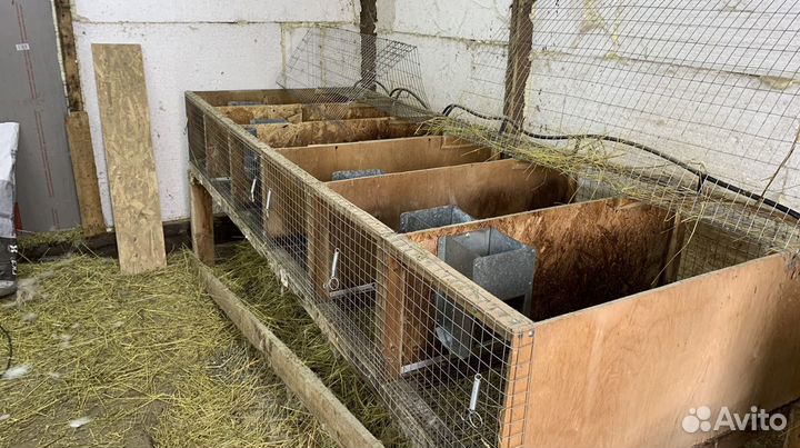 Клетка для кролика