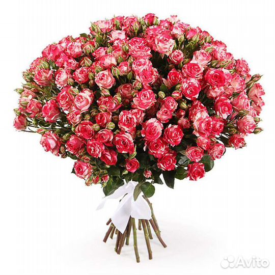 Букет 11 кустовых роз