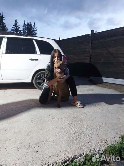 Кабель на вязку