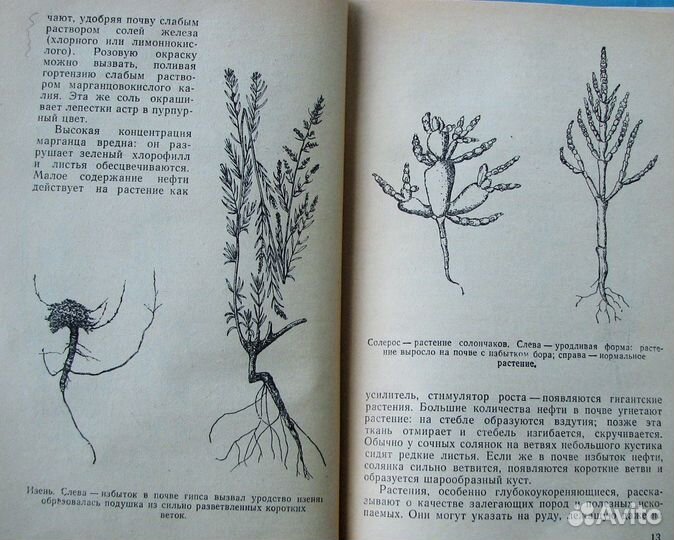 Церлинг В. Растения рассказывают. (Знай и умей)