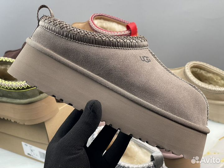 Ugg tazz оригинал