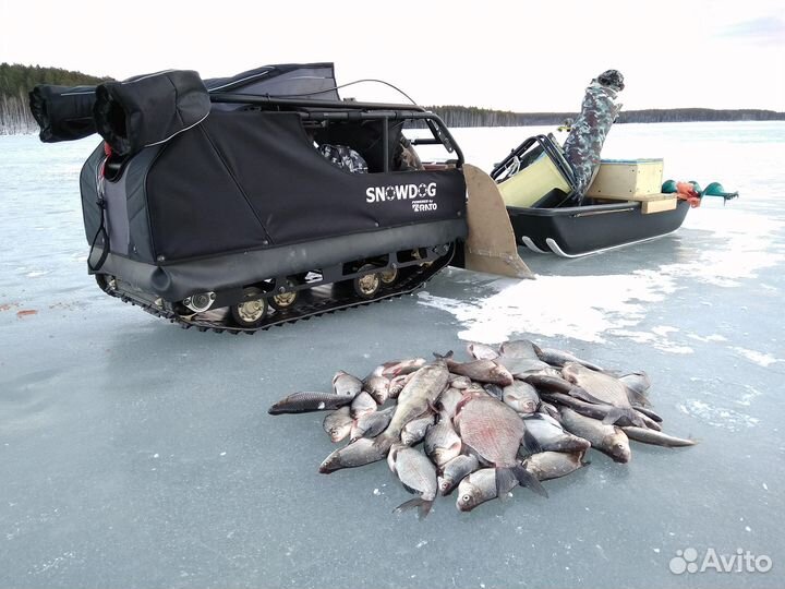 Мотобуксировщик Baltmotors SnowDog Compact P9ME